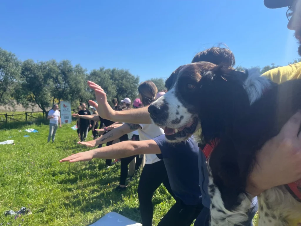 Un cane in primo piano durante una lezione di yoga sull’erba.